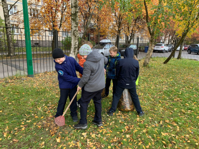 Нажмите, чтобы посмотреть в полный размер